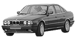 BMW E34 B250B Fault Code