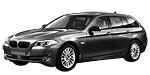 BMW F11 B250B Fault Code
